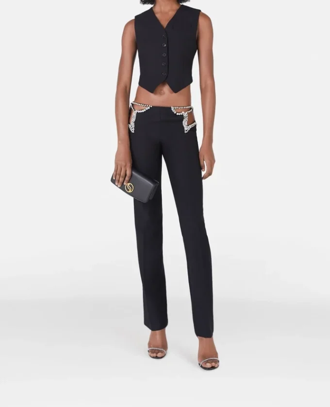 Pantaloni a vita ultra bassa con stelle di strass Pantaloni a vita ultra bassa con stelle di strass