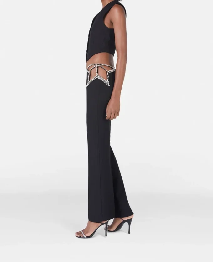 Pantaloni a vita ultra bassa con stelle di strass Pantaloni a vita ultra bassa con stelle di strass